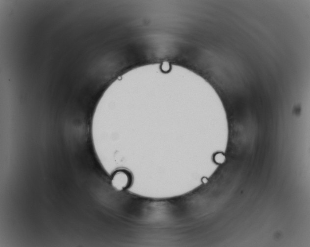 X0000103960324200809261817