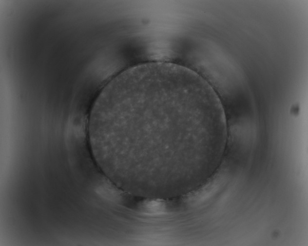 X0000103960325200809261817