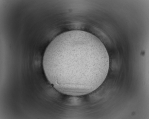 X0000103960326200809261817