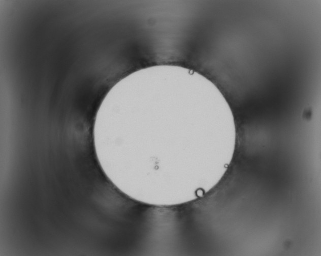 X0000103960327200809261817