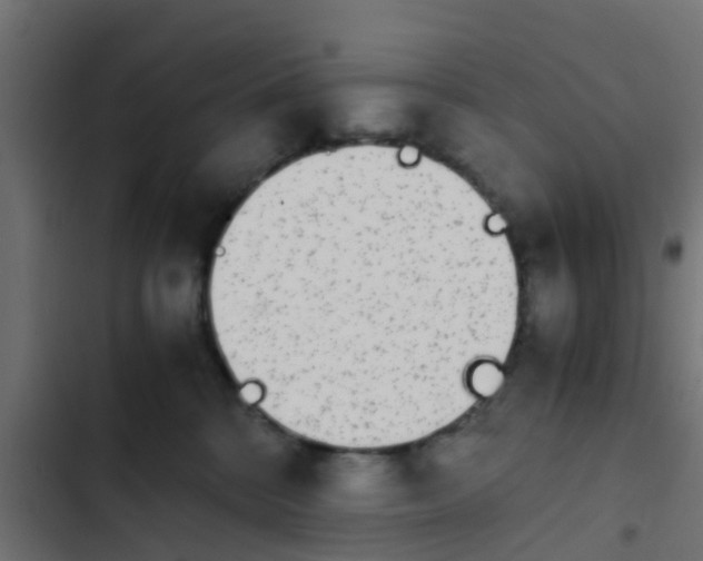 X0000103960328200809261817
