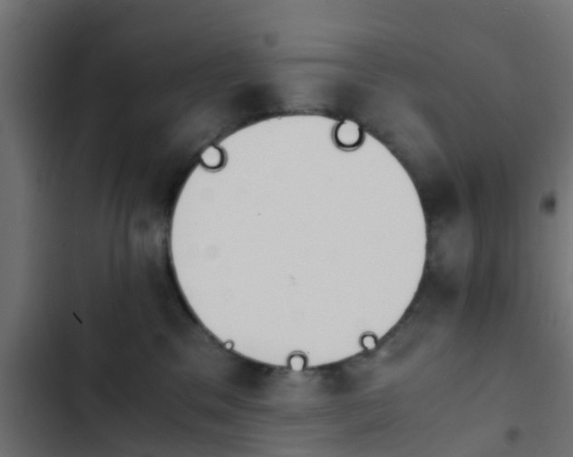 X0000103960329200809261817