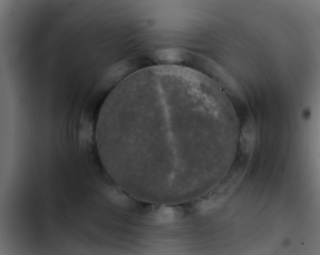 X0000103960330200809261817
