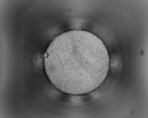 X0000103960332200809261817