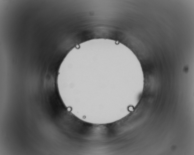 X0000103960333200809261817