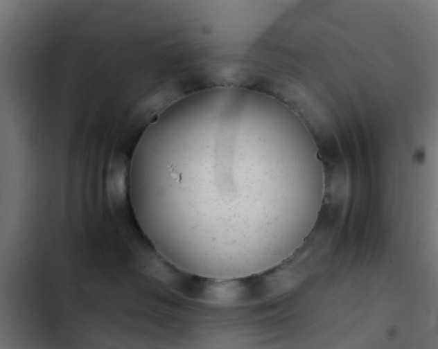 X0000103960334200809261817