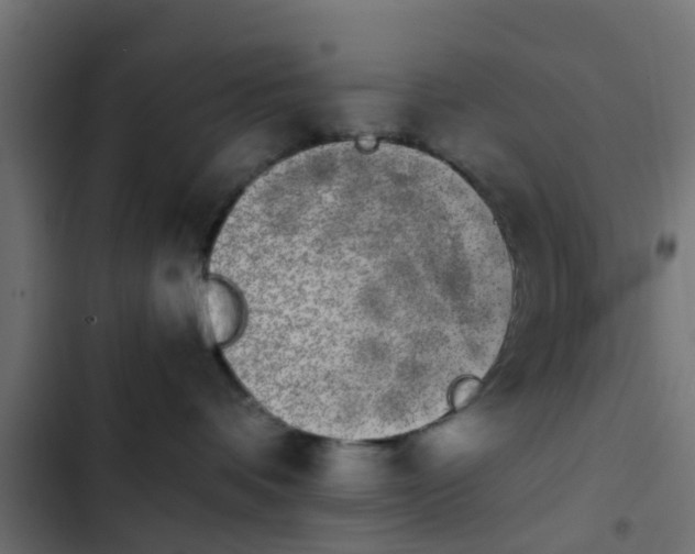 X0000103960336200809261817