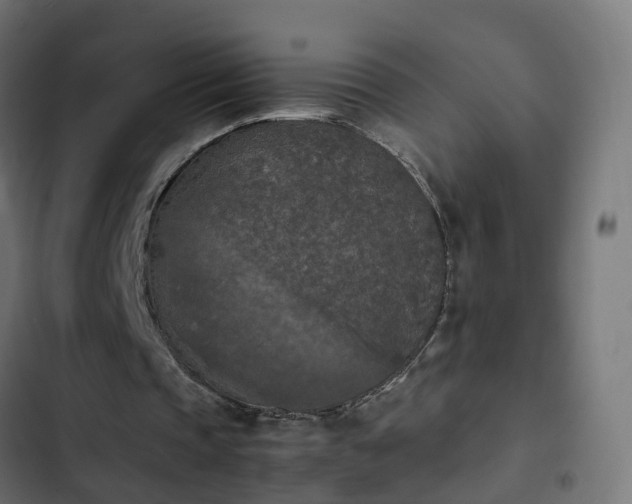 X0000103960337200809261816