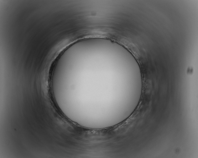 X0000103960338200809261816