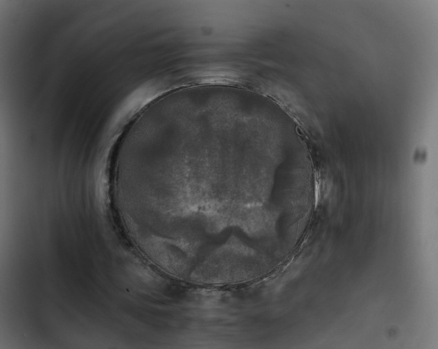 X0000103960339200809261816