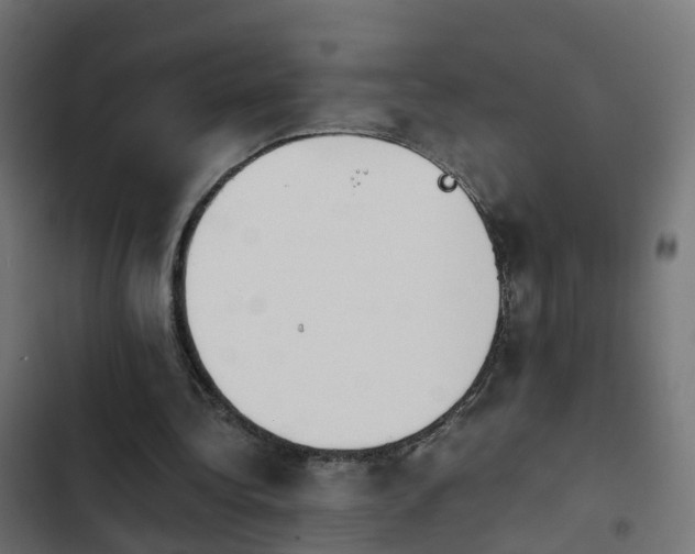 X0000103960340200809261816