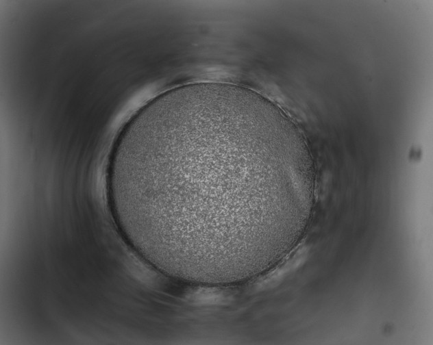 X0000103960341200809261816