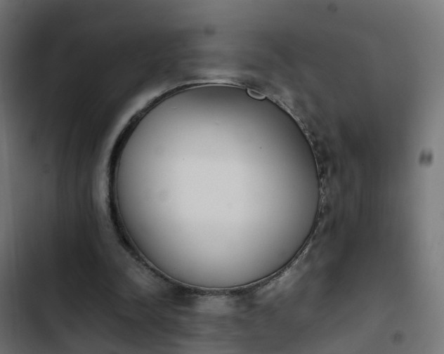 X0000103960342200809261816
