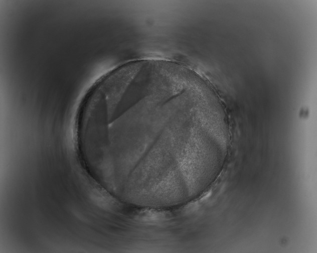 X0000103960343200809261816