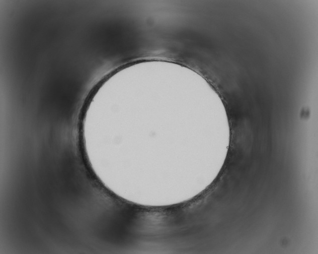 X0000103960344200809261816