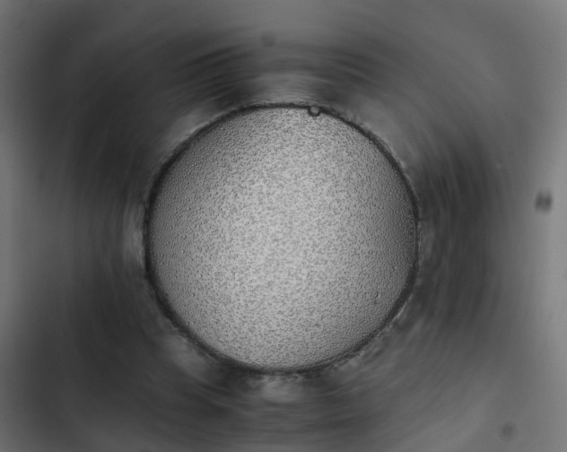 X0000103960345200809261817