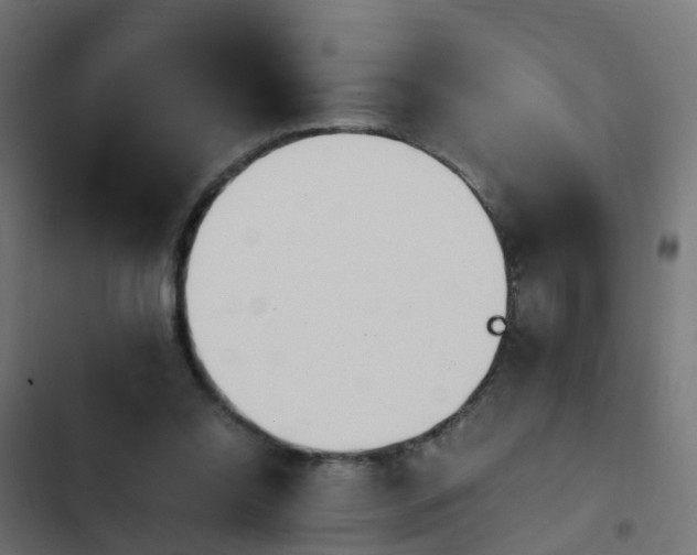 X0000103960350200809261817