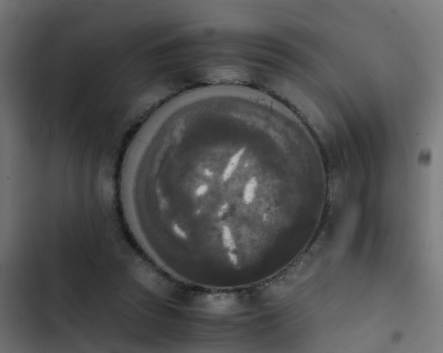 X0000103960353200809261817