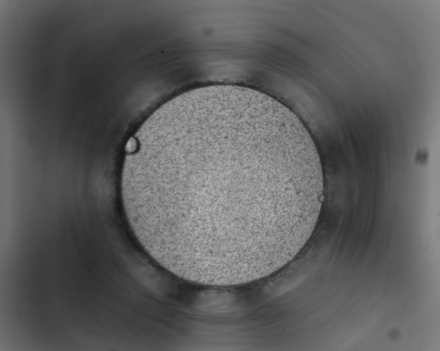 X0000103960354200809261817