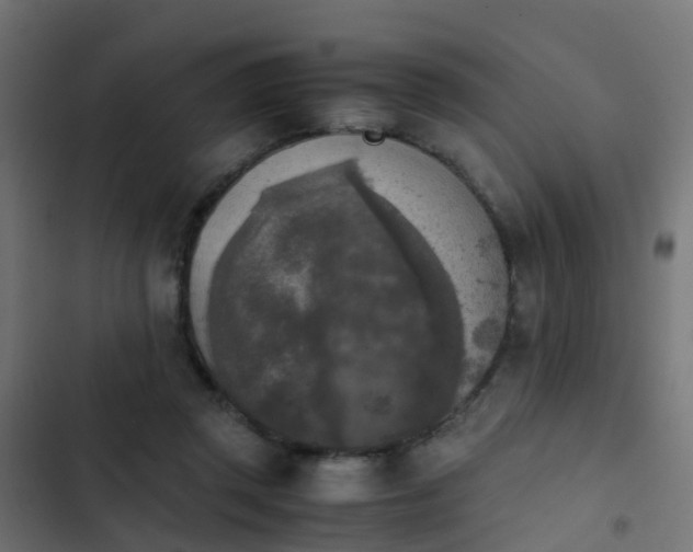 X0000103960357200809261817