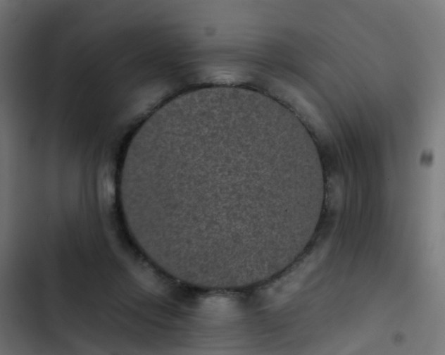 X0000103960358200809261817