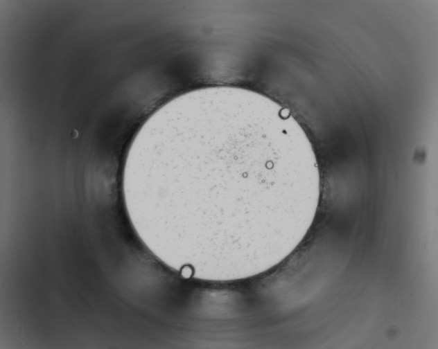 X0000103960360200809261817