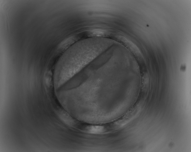 X0000103960361200809261817