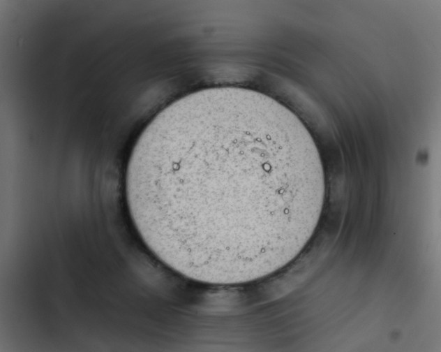 X0000103960362200809261817