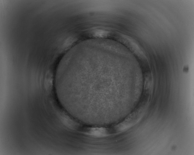 X0000103960363200809261817