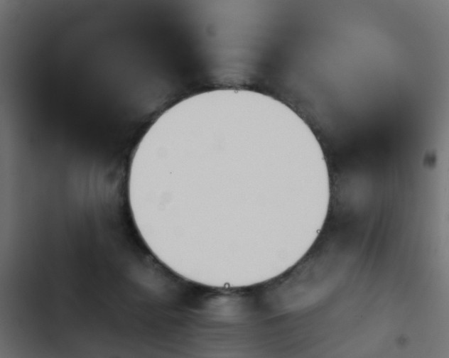 X0000103960364200809261817