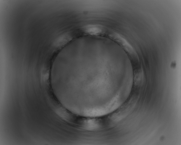 X0000103960365200809261817