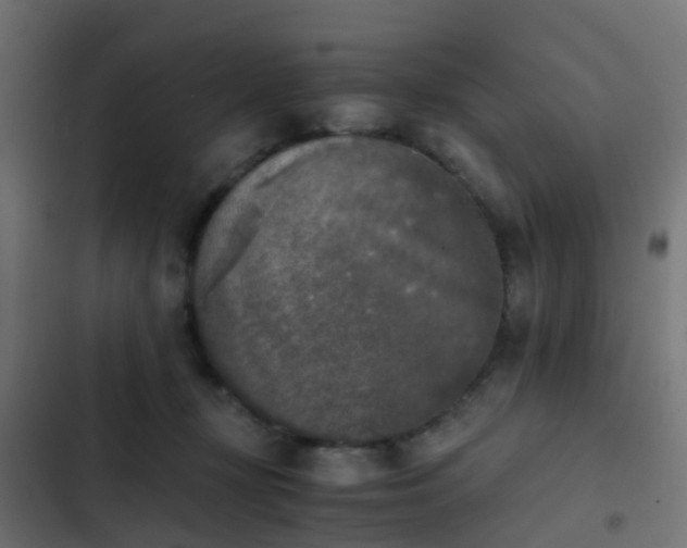X0000103960367200809261817