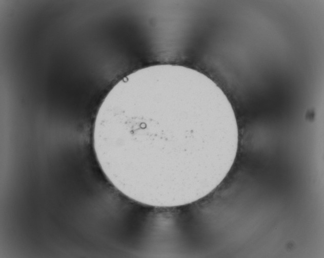 X0000103960368200809261817