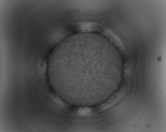 X0000103960369200809261817