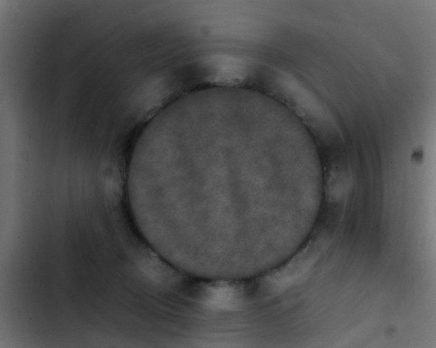 X0000103960370200809261817