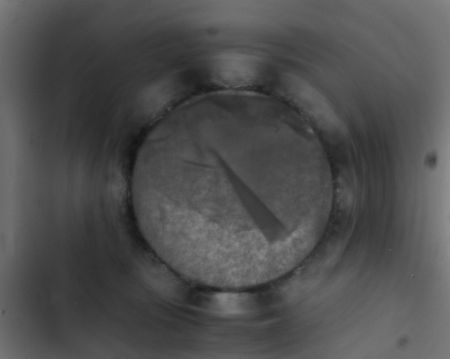 X0000103960371200809261817