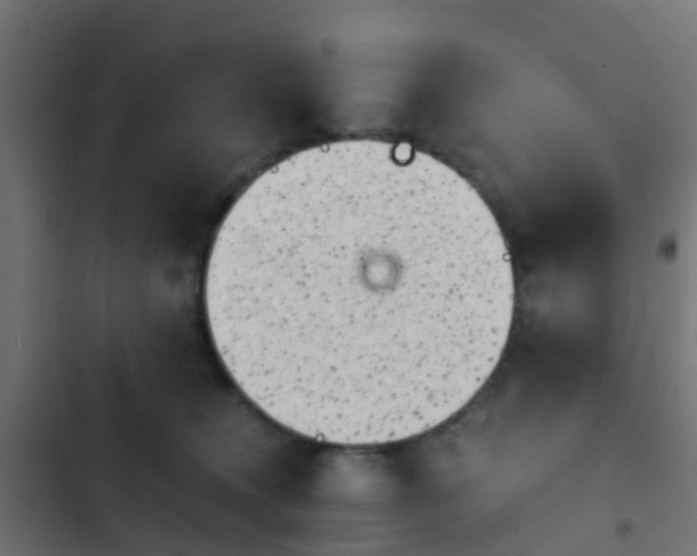 X0000103960372200809261817