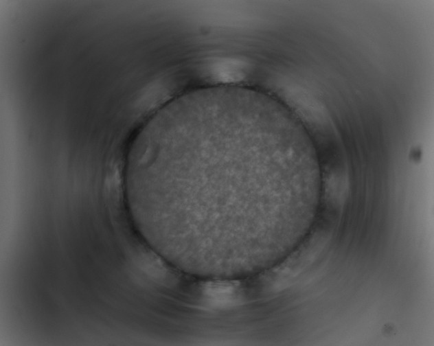 X0000103960373200809261817