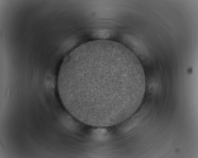 X0000103960374200809261817