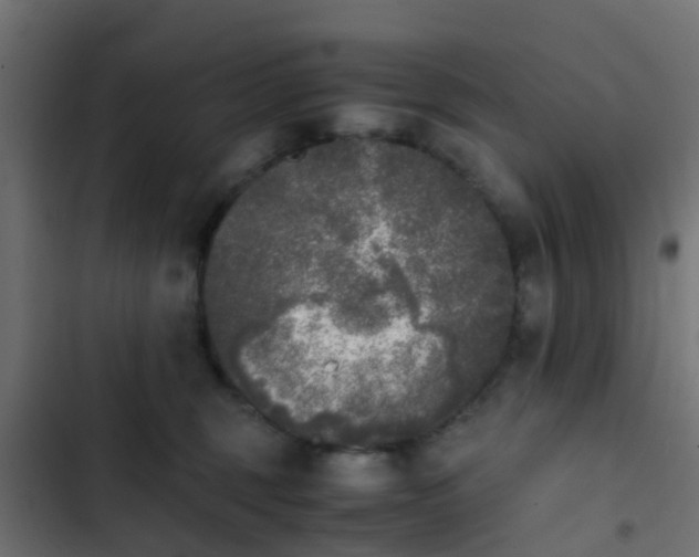 X0000103960375200809261817