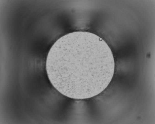 X0000103960376200809261817