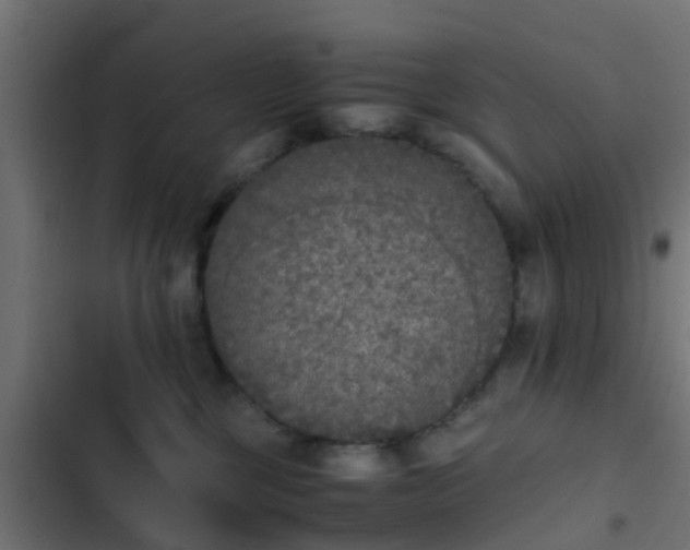 X0000103960377200809261817