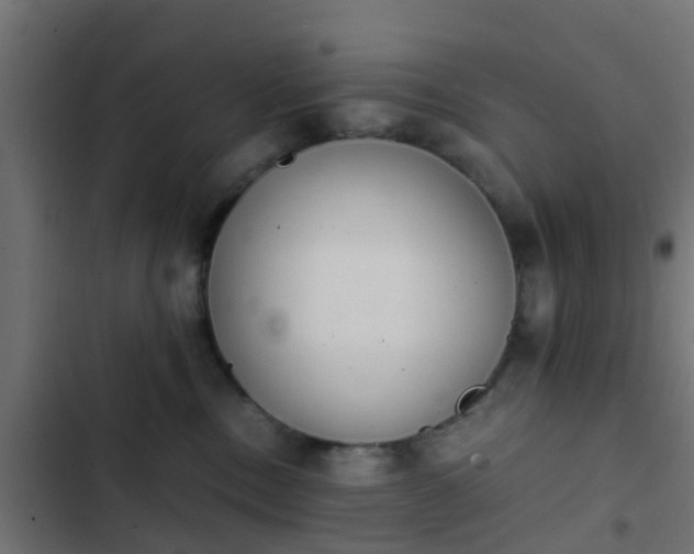 X0000103960378200809261817