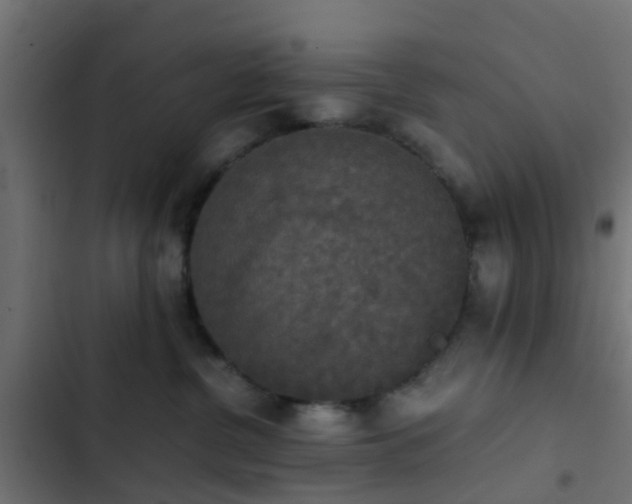 X0000103960380200809261817