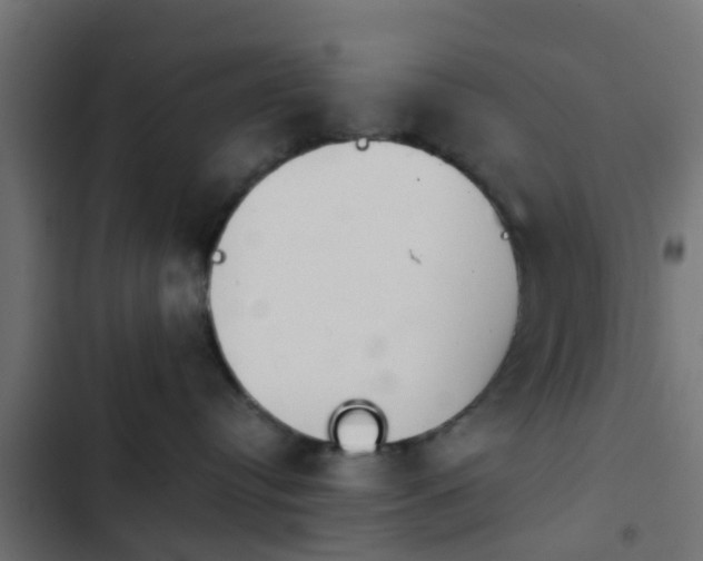 X0000103960384200809261817