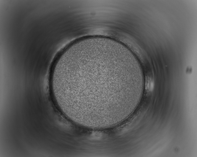 X0000103960388200809261816