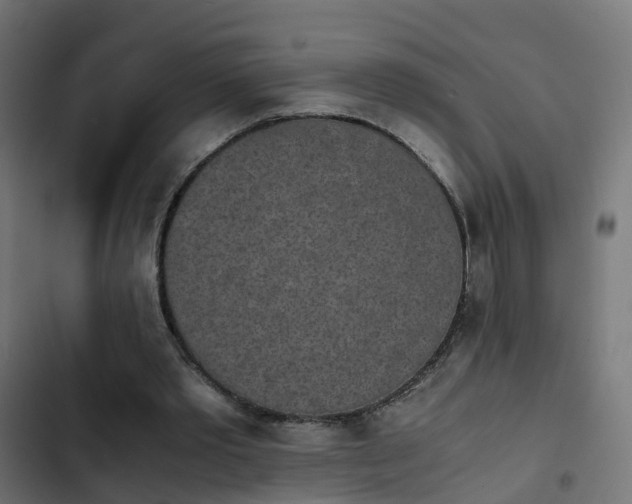 X0000103960389200809261816