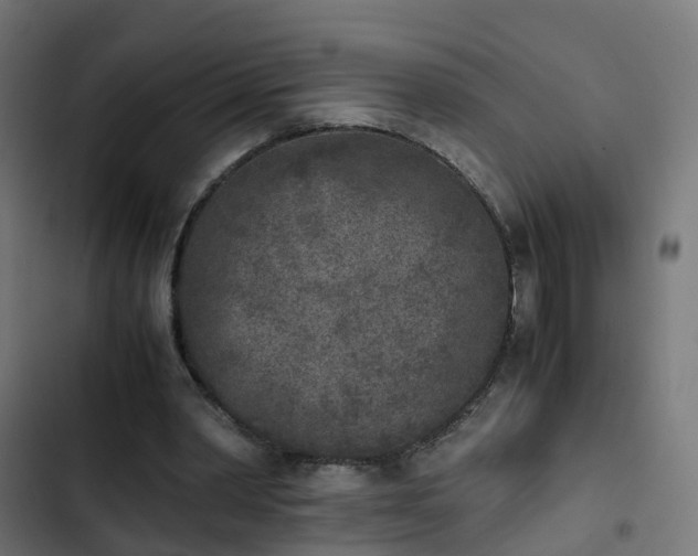 X0000103960390200809261816