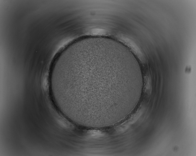 X0000103960392200809261816