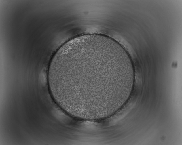 X0000103960393200809261816